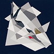 FLEXUS - Claudio Mazza